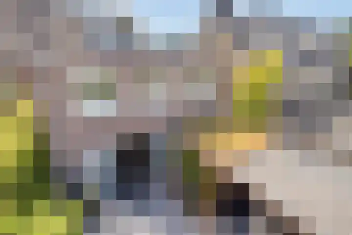 Berkenlaan 44 Malden thumbnail 48