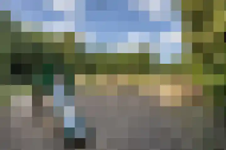 Berkenlaan 44 Malden thumbnail 50