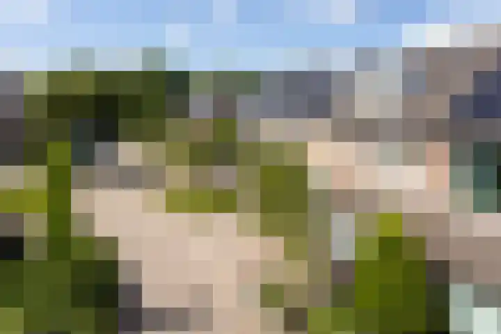 Berkenlaan 44 Malden thumbnail 8