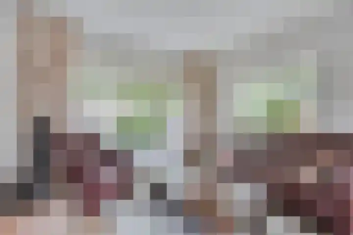 Berkenlaan 44 Zutphen thumbnail 13
