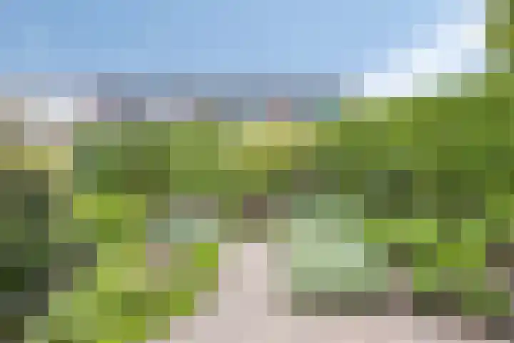 Berkenlaan 44 Zutphen thumbnail 19