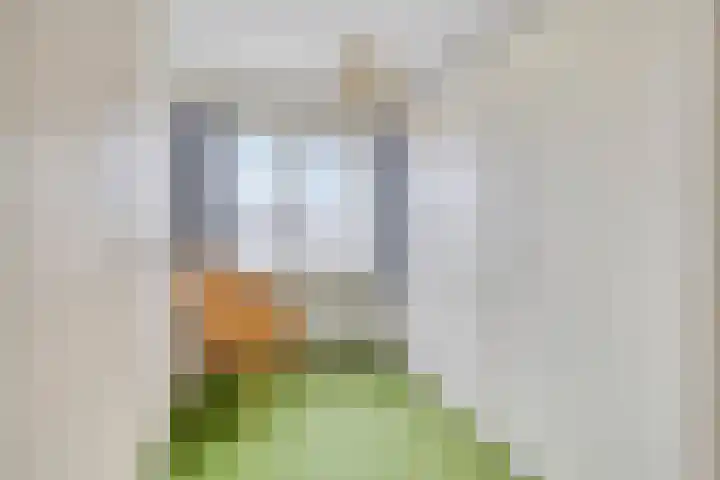 Berkenlaan 44 Zutphen thumbnail 26