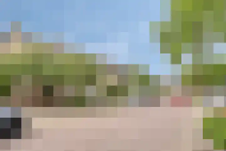 Berkenlaan 44 Zutphen thumbnail 34