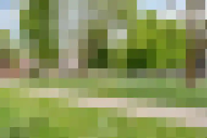 Berkenlaan 44 Zutphen thumbnail 36
