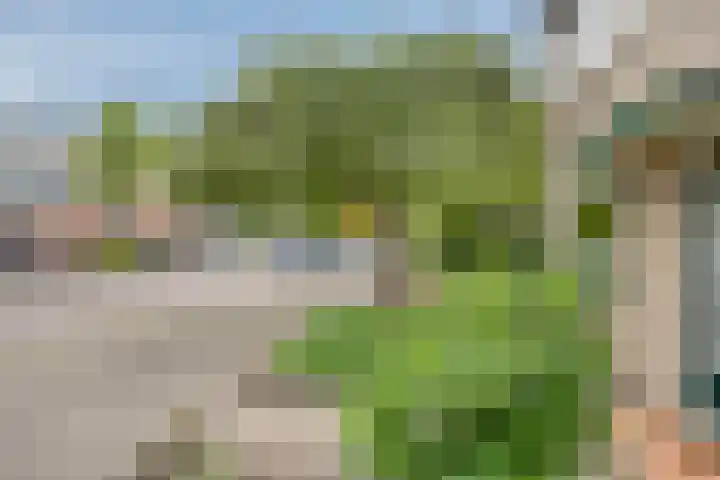 Berkenlaan 44 Zutphen thumbnail 8