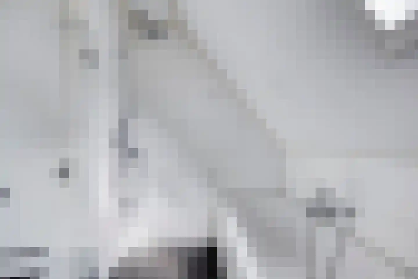 Berkenlaan 45 Aadorp thumbnail 14