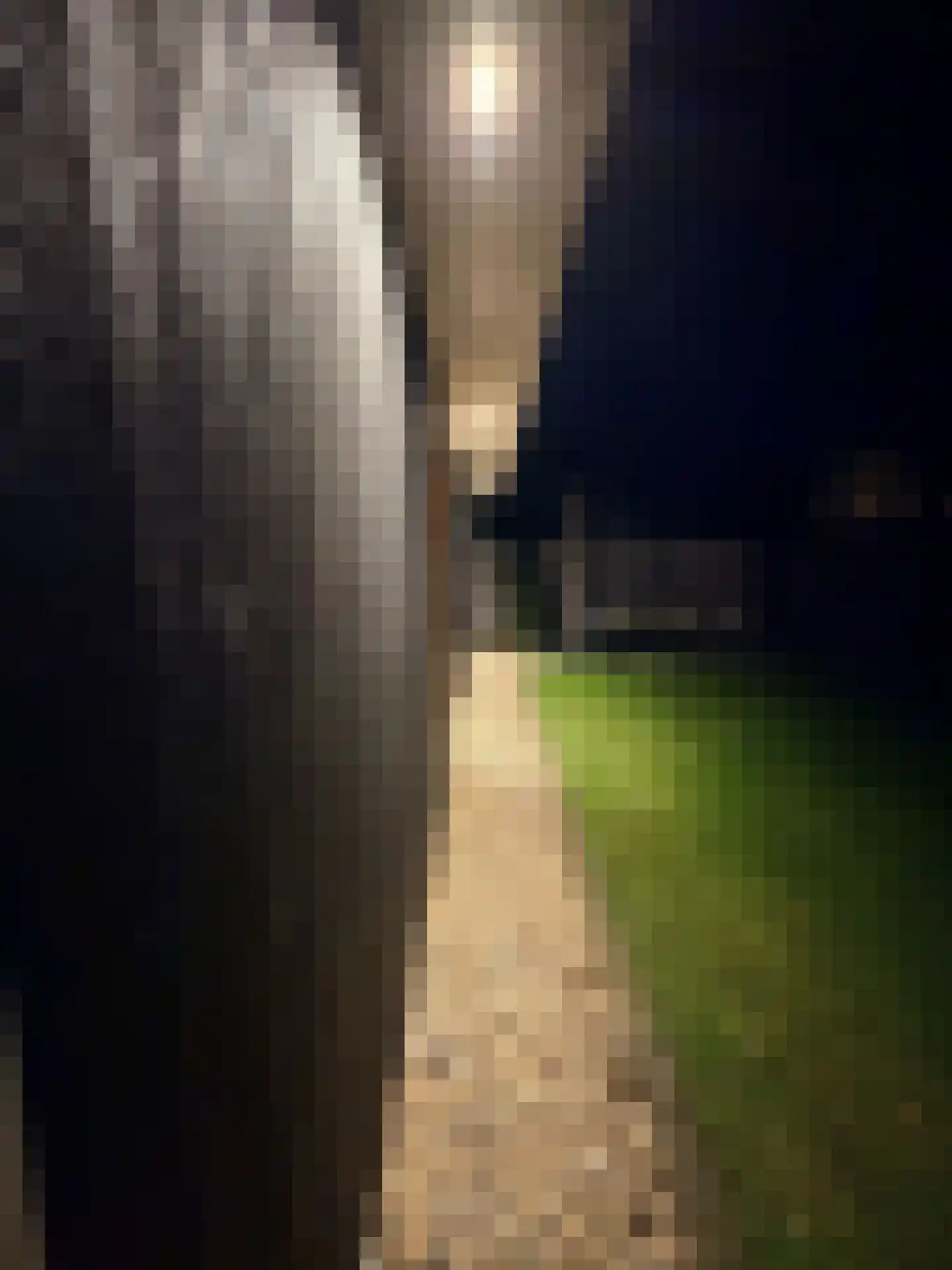 Berkenlaan 45 Aadorp thumbnail 27