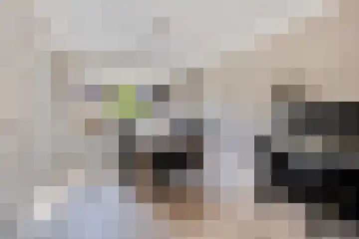 Berkenlaan 45 Klaaswaal thumbnail 12