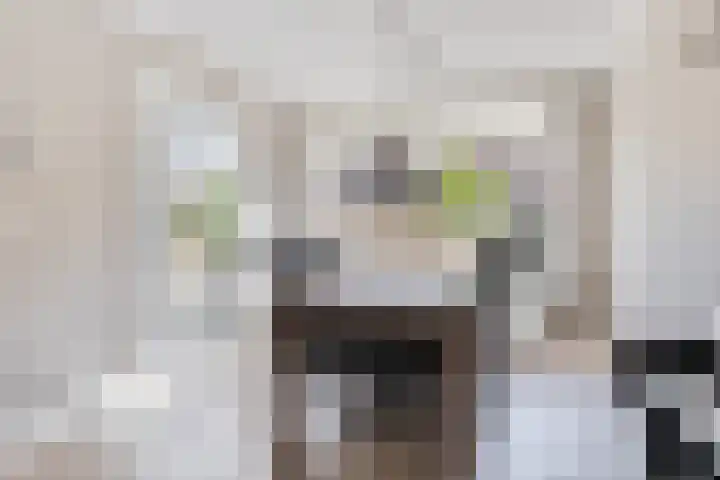 Berkenlaan 45 Klaaswaal thumbnail 13