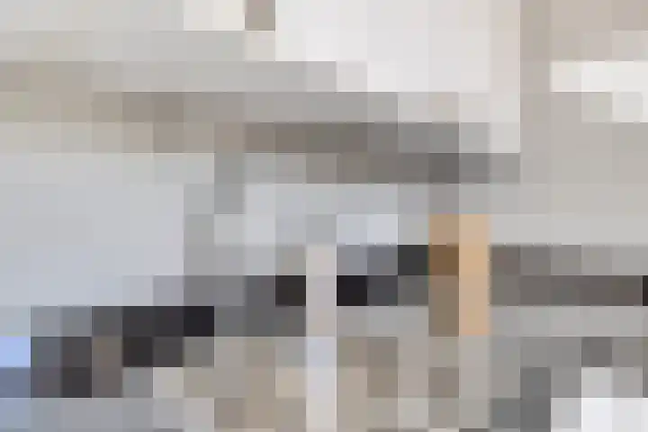 Berkenlaan 45 Klaaswaal thumbnail 15