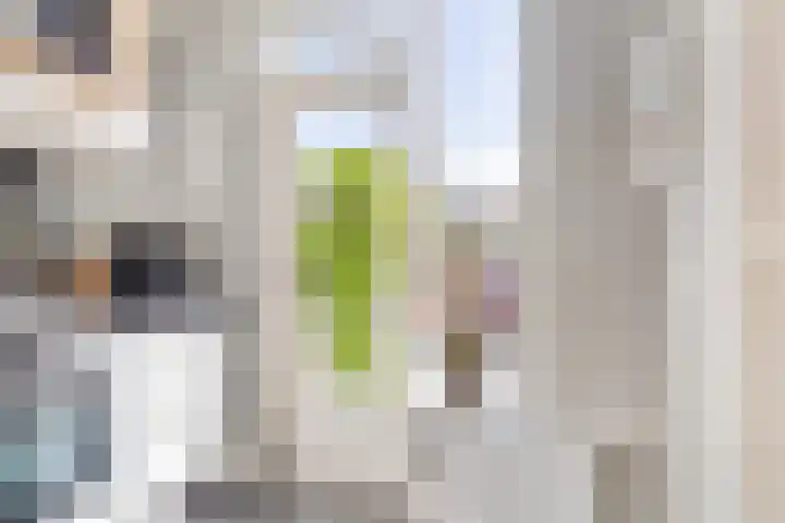 Berkenlaan 45 Klaaswaal thumbnail 17