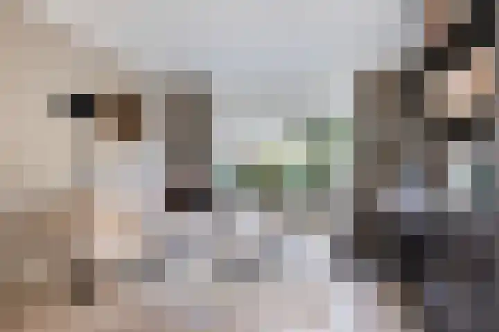 Berkenlaan 45 Klaaswaal foto 2