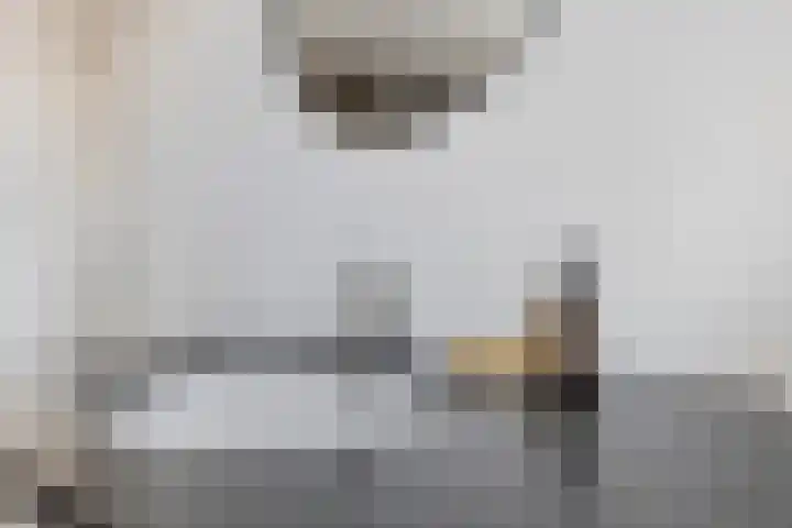 Berkenlaan 45 Klaaswaal thumbnail 26