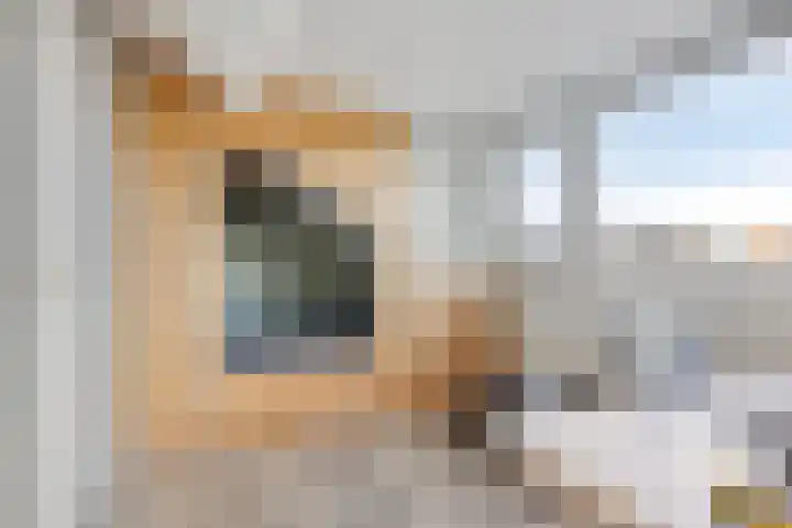 Berkenlaan 45 Klaaswaal thumbnail 30