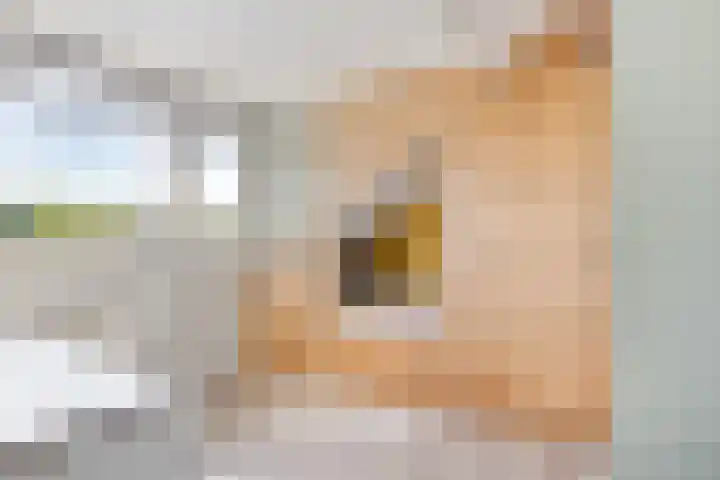 Berkenlaan 45 Klaaswaal thumbnail 32