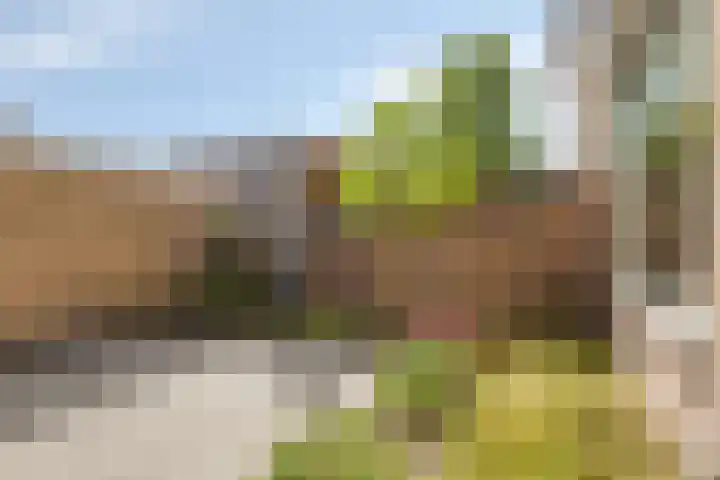Berkenlaan 45 Klaaswaal thumbnail 35