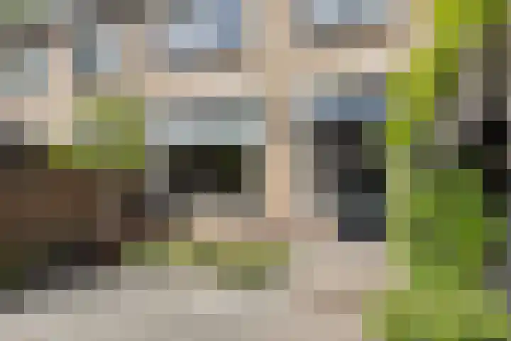 Berkenlaan 45 Klaaswaal thumbnail 36