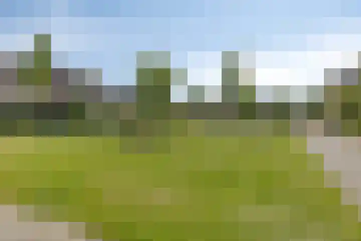 Berkenlaan 45 Klaaswaal thumbnail 38