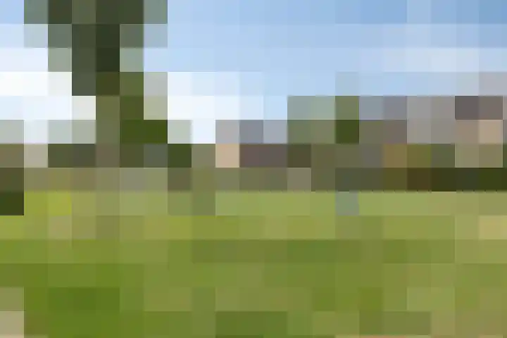Berkenlaan 45 Klaaswaal thumbnail 39