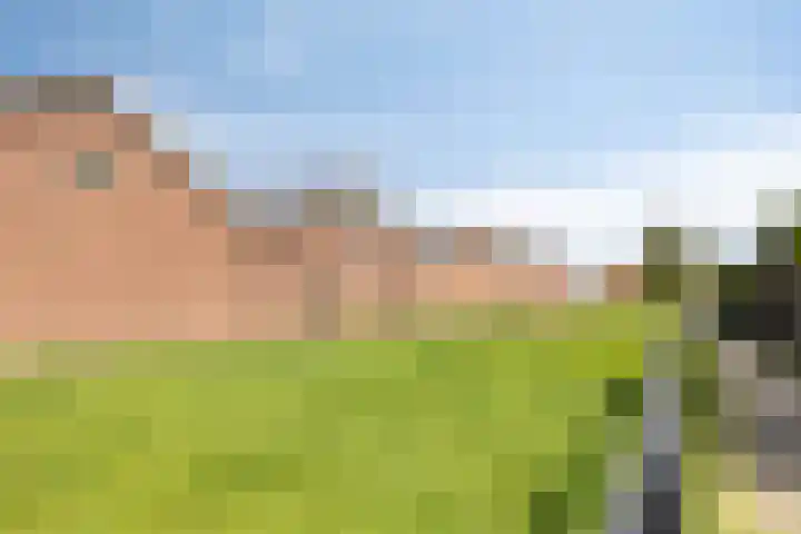 Berkenlaan 45 Klaaswaal thumbnail 40
