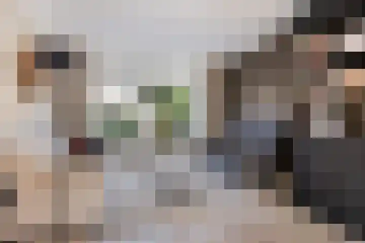 Berkenlaan 45 Klaaswaal thumbnail 8