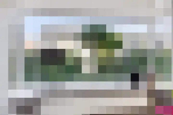 Berkenlaan 45 Klaaswaal thumbnail 9