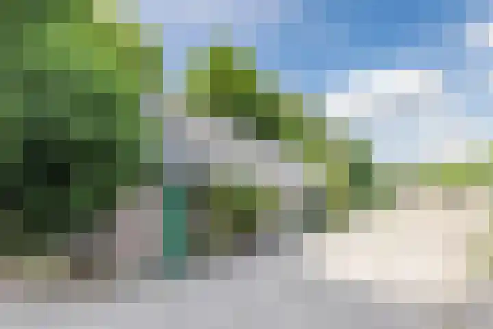 Berkenlaan 49 Loon op Zand thumbnail 31