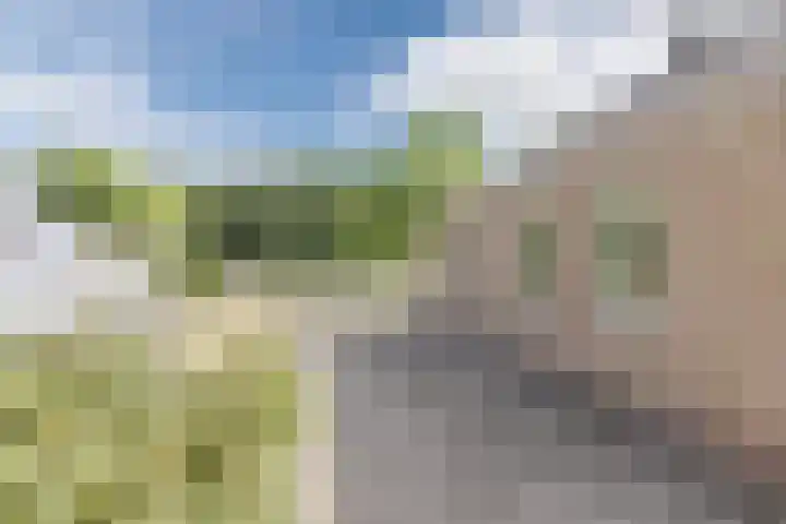 Berkenlaan 49 Loon op Zand thumbnail 31