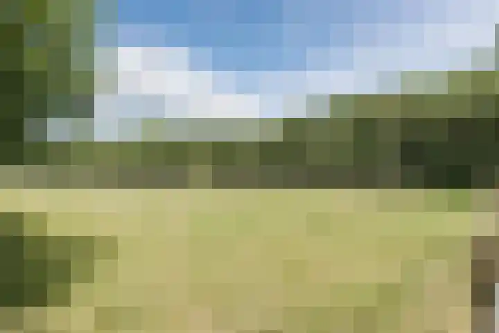 Berkenlaan 49 Loon op Zand thumbnail 33