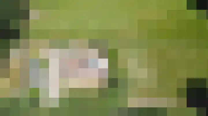Berkenlaan 49 Loon op Zand thumbnail 35