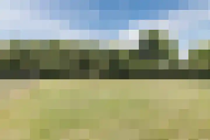 Berkenlaan 49 Loon op Zand thumbnail 4