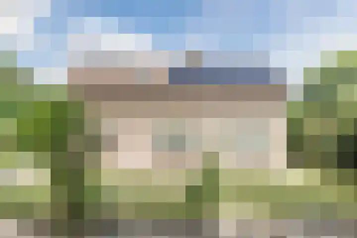 Berkenlaan 49 Loon op Zand thumbnail 5