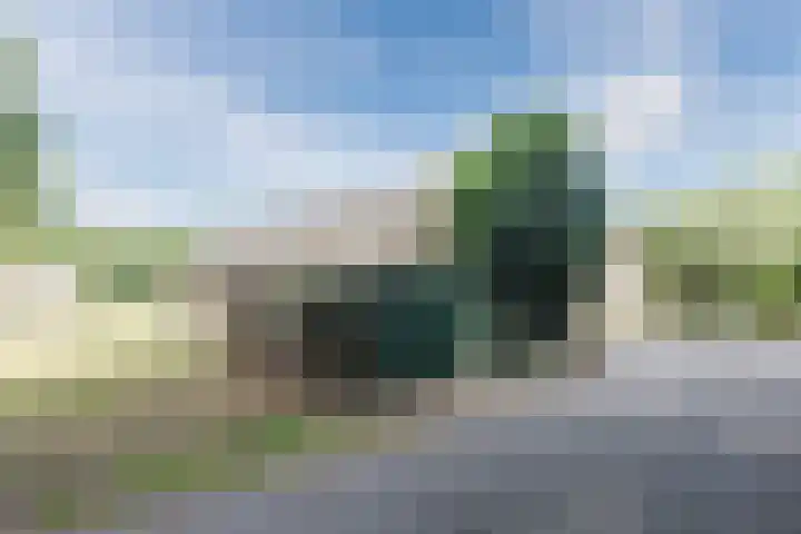 Berkenlaan 49 Loon op Zand thumbnail 7