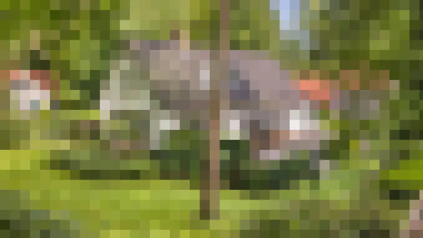 Berkenlaan 5 in Apeldoorn