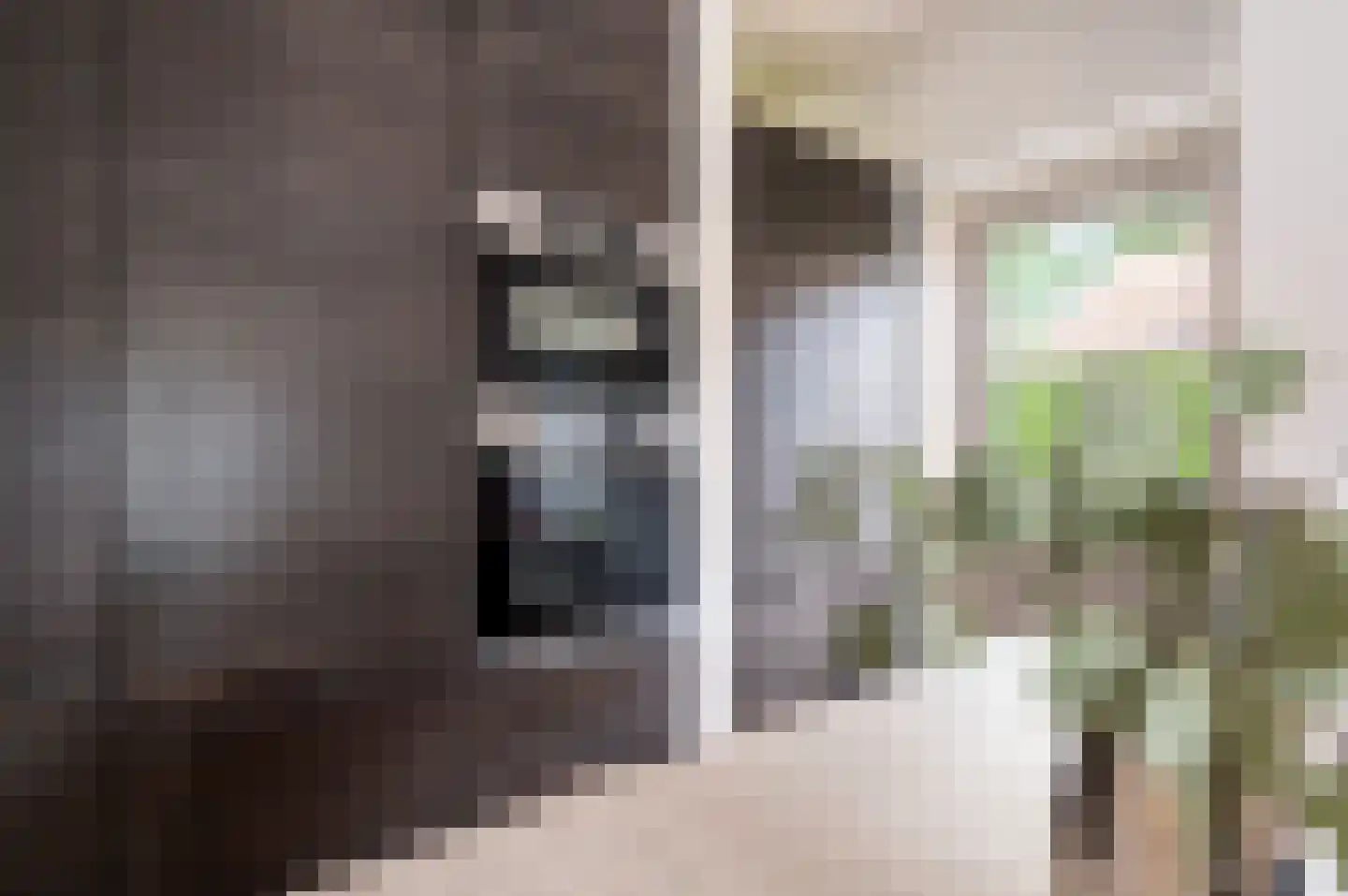 Berkenlaan 5 Apeldoorn thumbnail 17