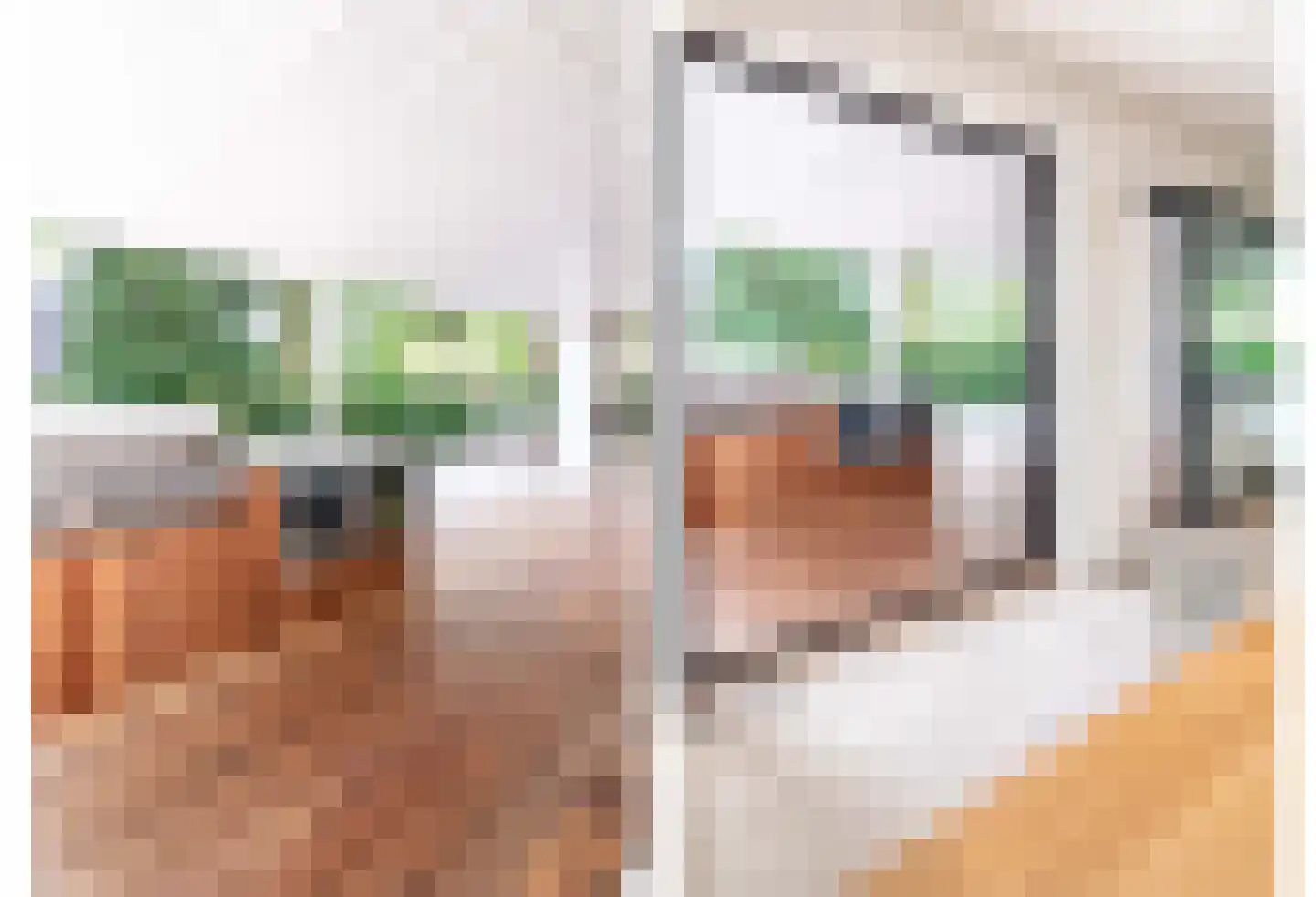 Berkenlaan 5 Apeldoorn thumbnail 22