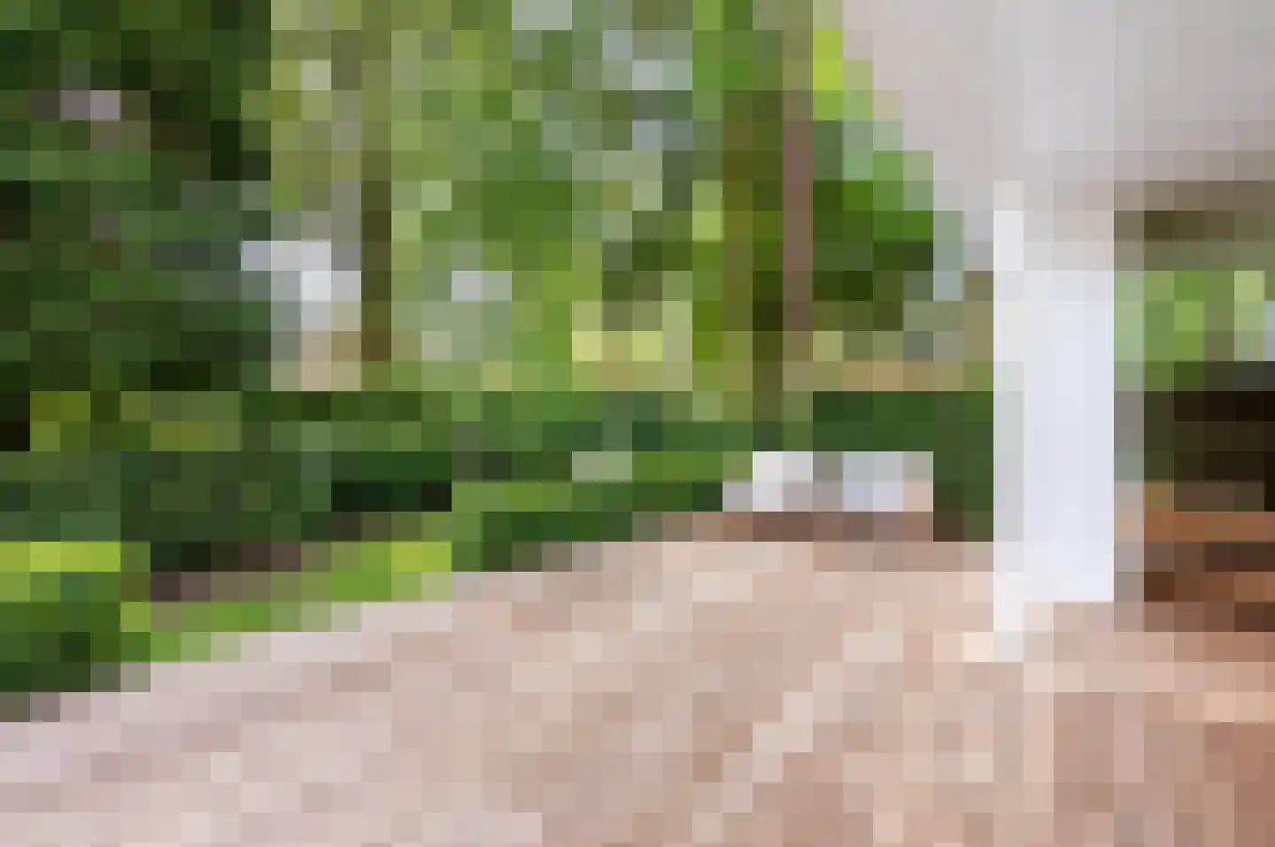 Berkenlaan 5 Apeldoorn thumbnail 23