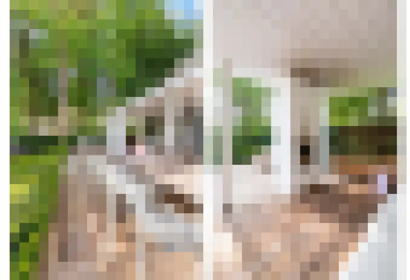 Berkenlaan 5 Apeldoorn thumbnail 24