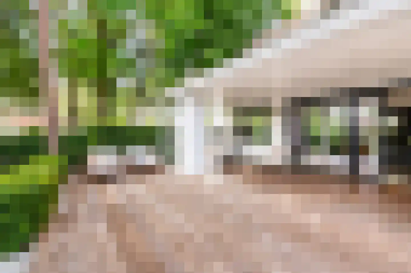 Berkenlaan 5 Apeldoorn thumbnail 25