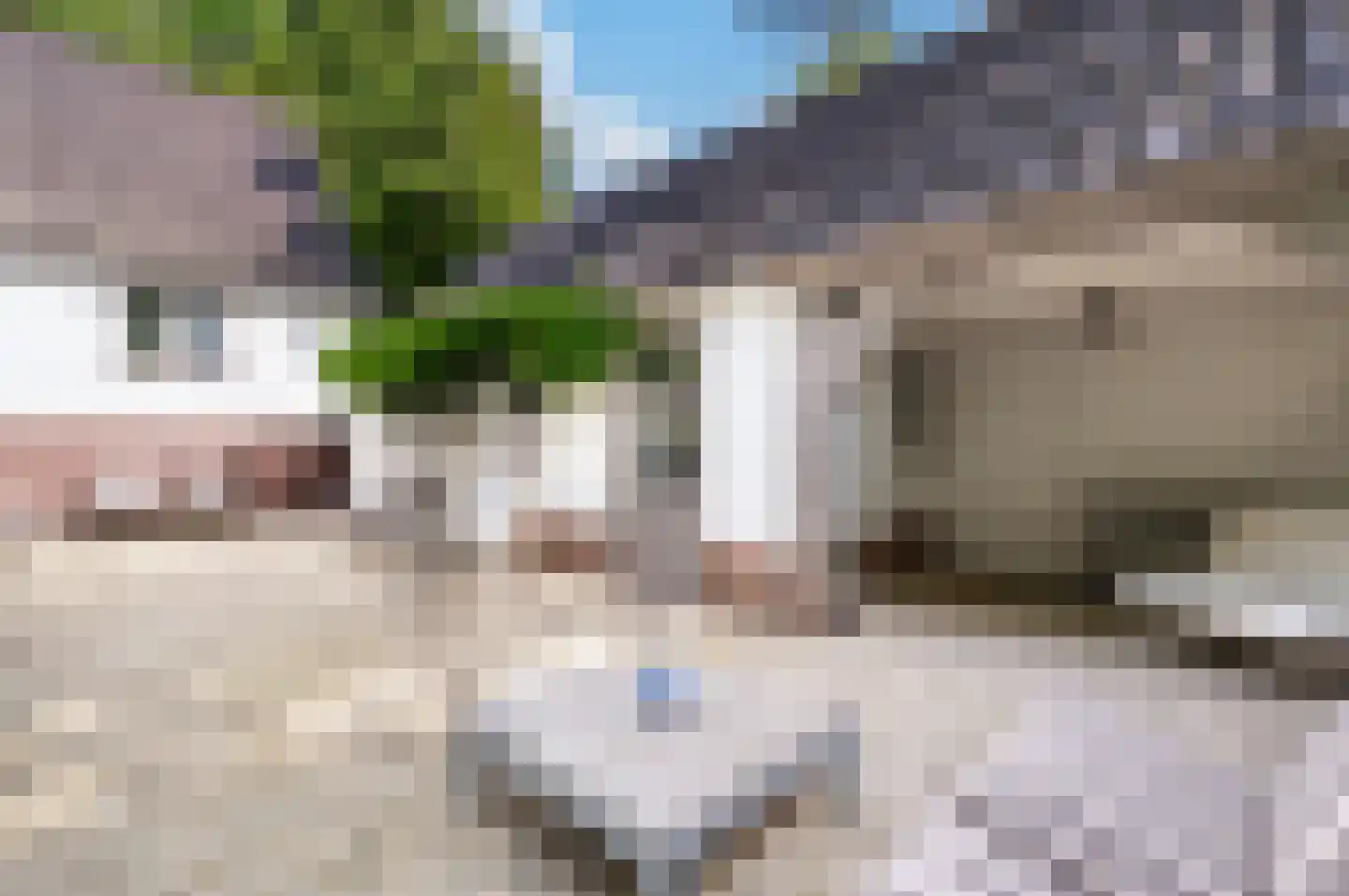 Berkenlaan 5 Apeldoorn thumbnail 26