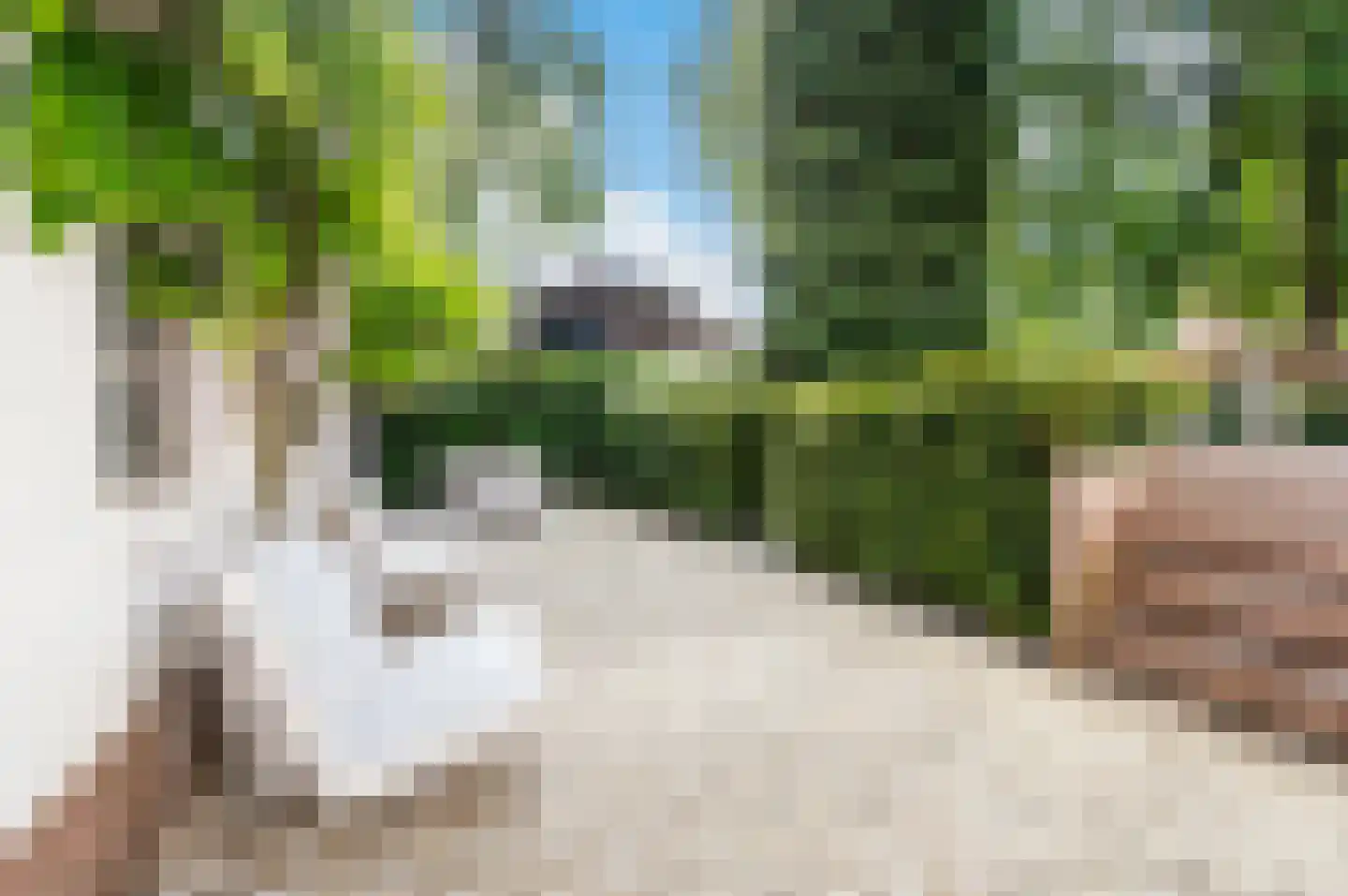 Berkenlaan 5 Apeldoorn thumbnail 27