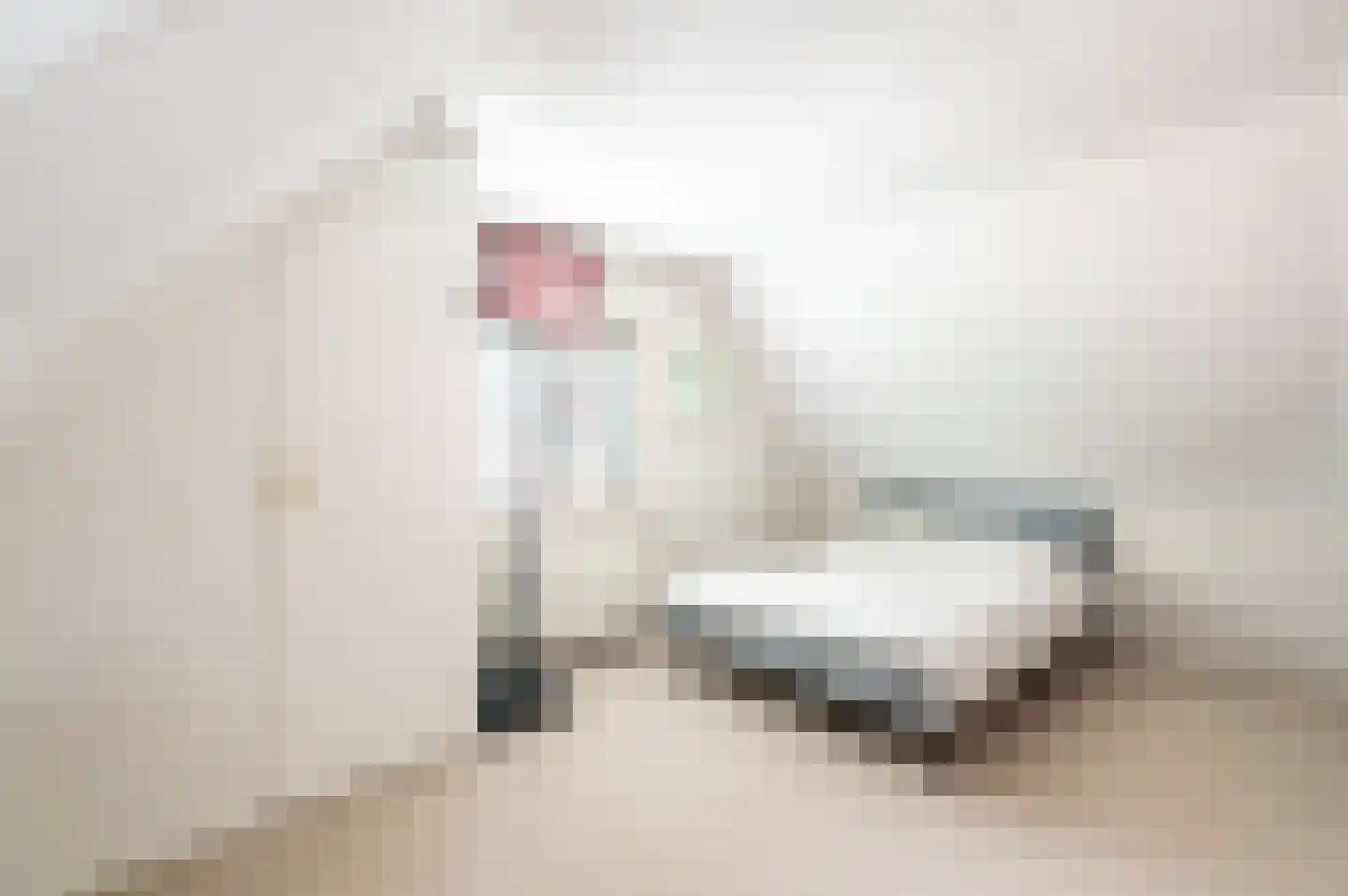 Berkenlaan 5 Apeldoorn thumbnail 29