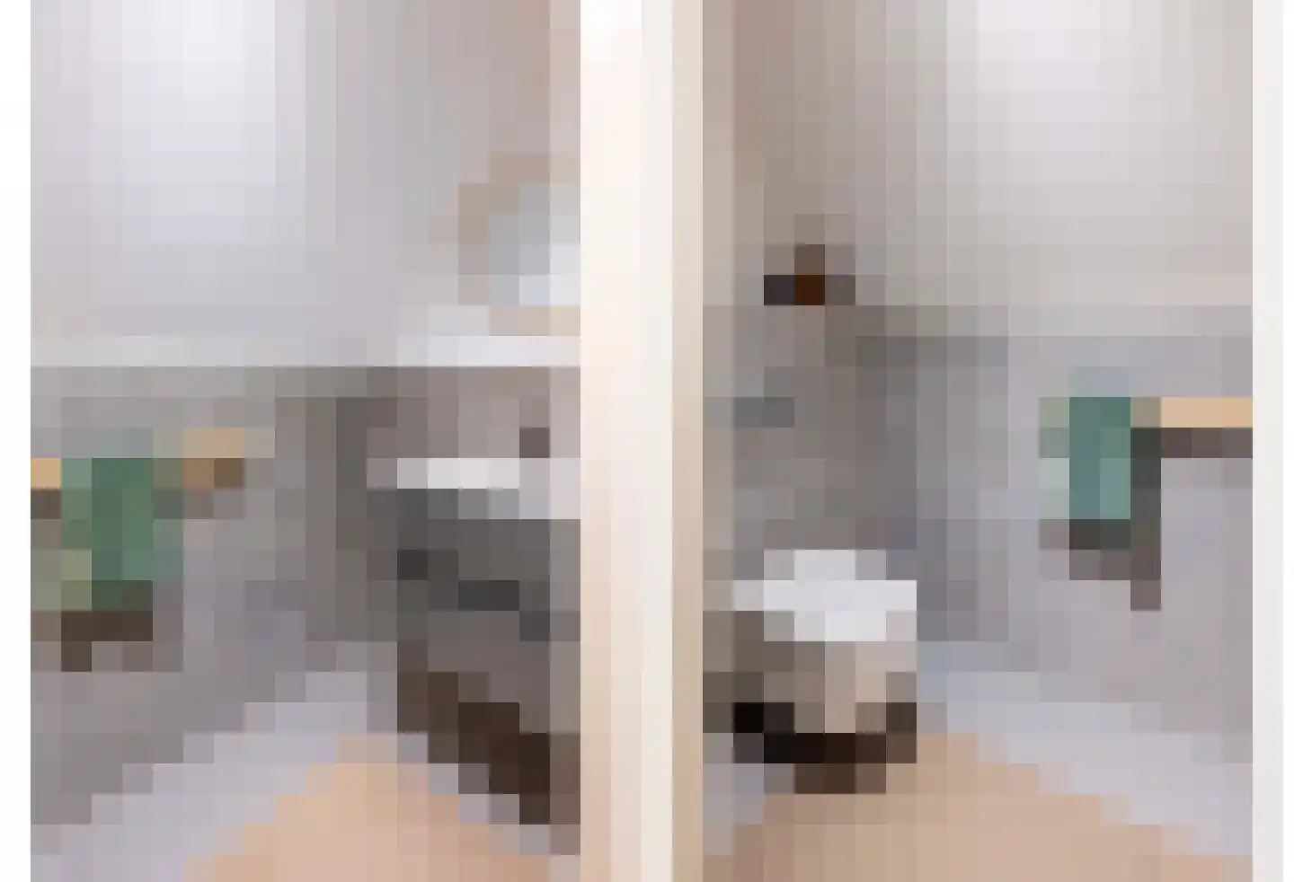 Berkenlaan 5 Apeldoorn thumbnail 35