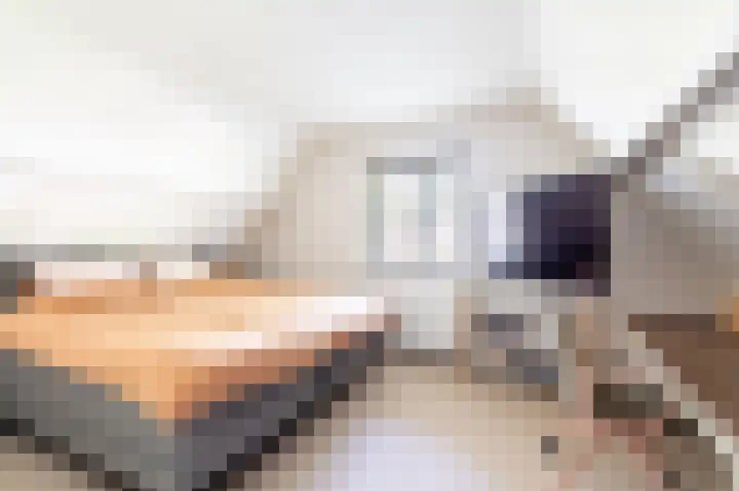 Berkenlaan 5 Apeldoorn thumbnail 37