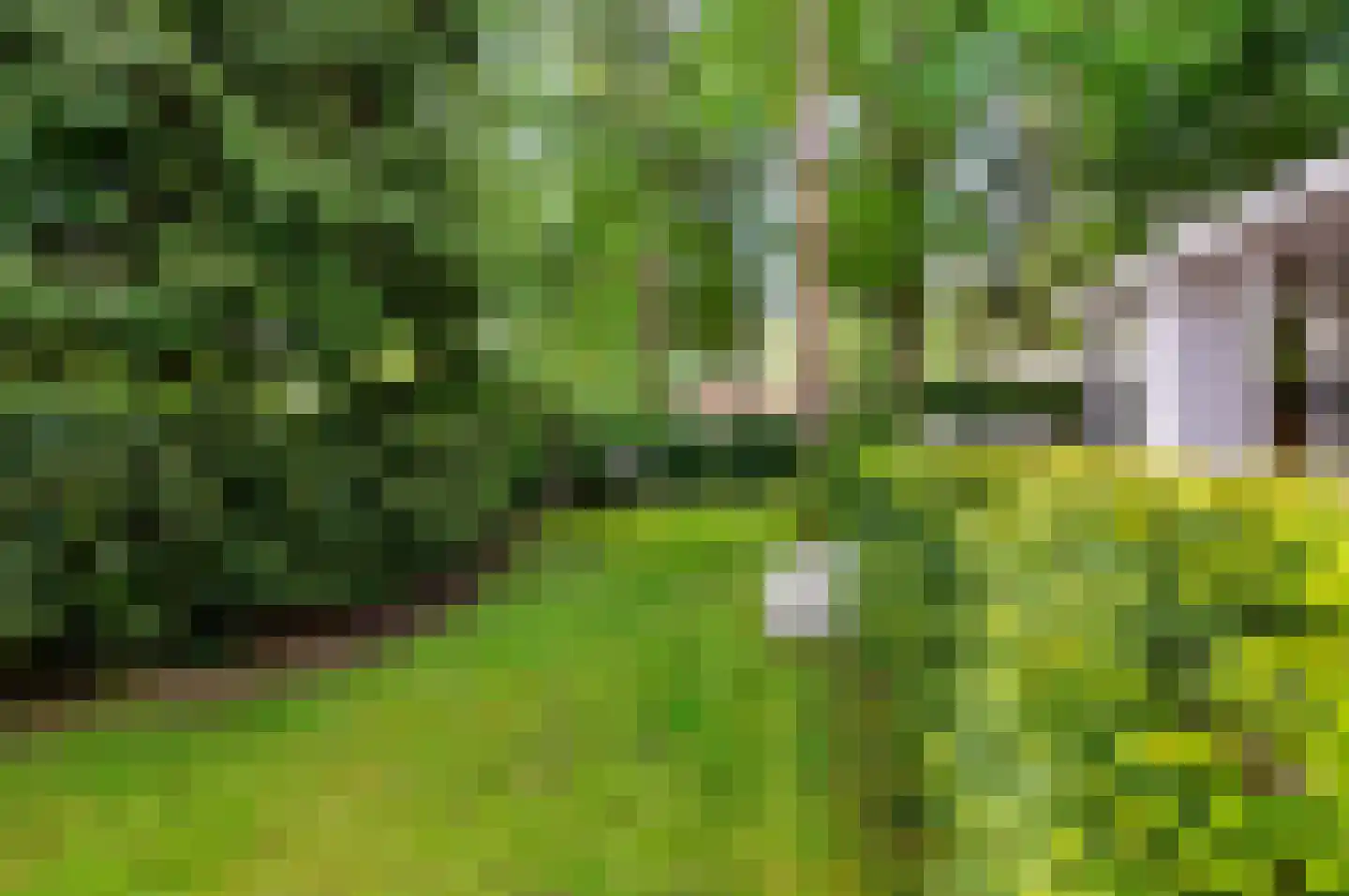 Berkenlaan 5 Apeldoorn thumbnail 41