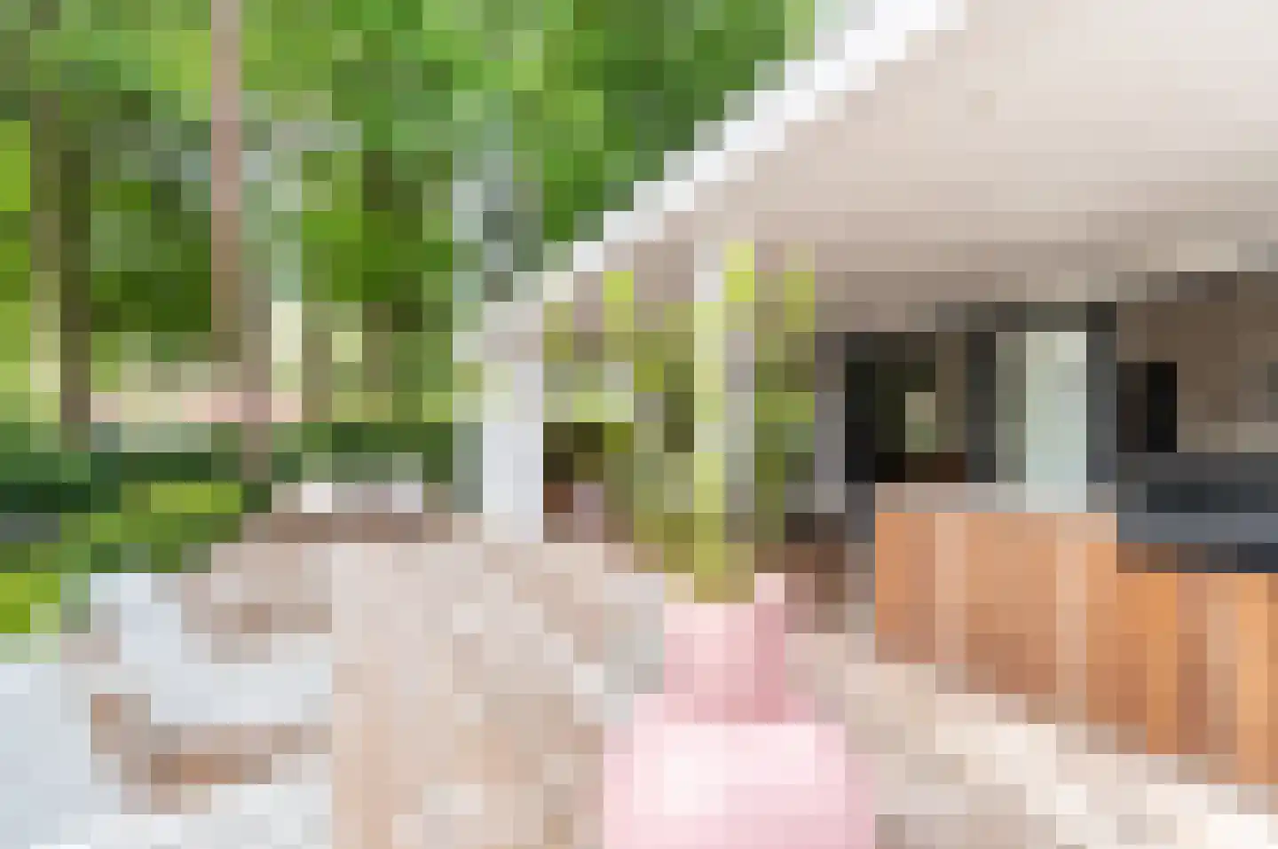 Berkenlaan 5 Apeldoorn thumbnail 46