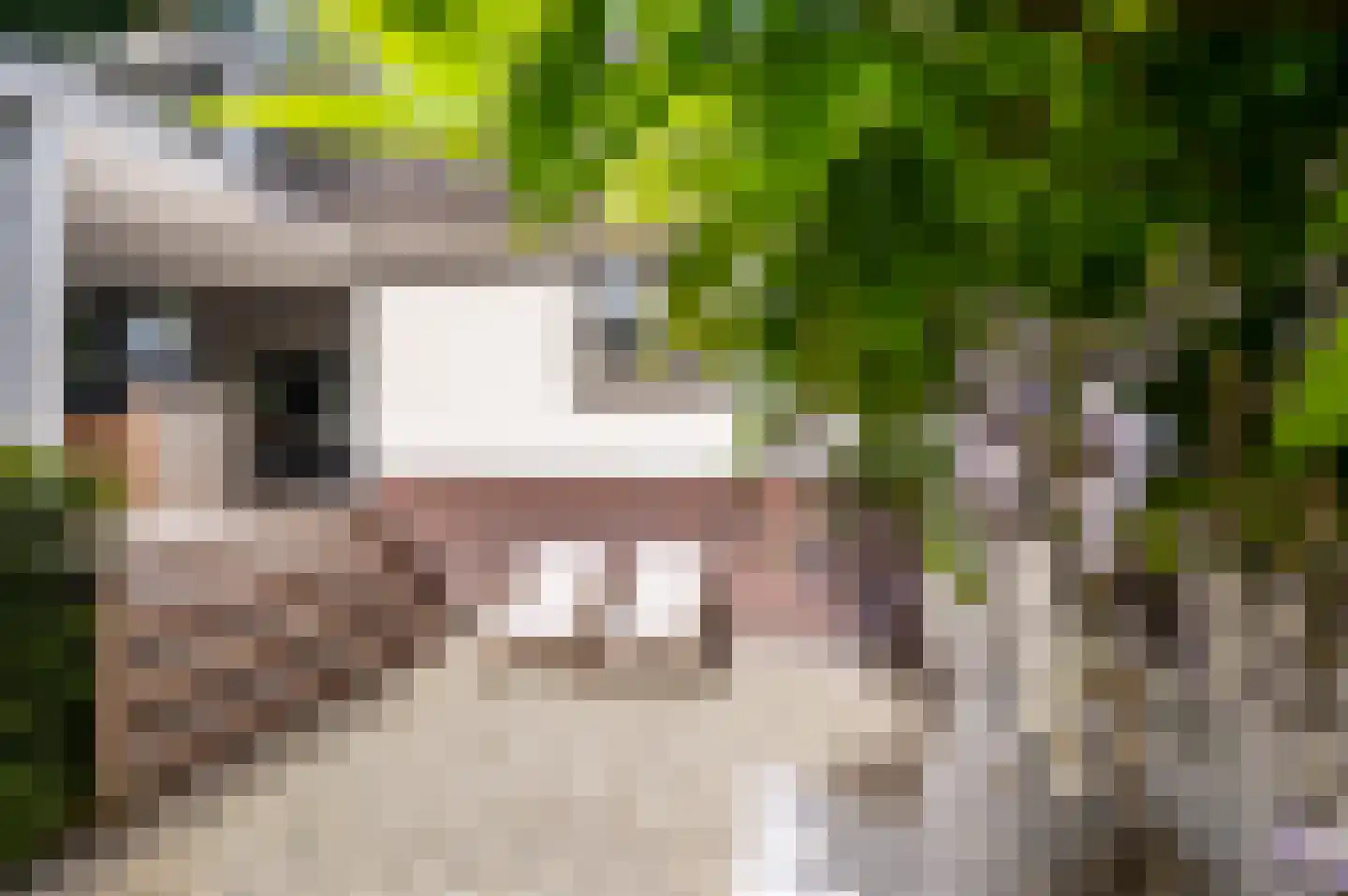 Berkenlaan 5 Apeldoorn thumbnail 49