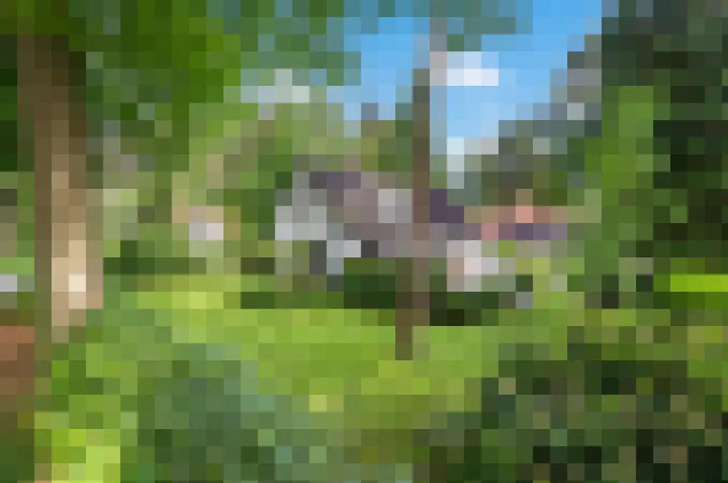 Berkenlaan 5 Apeldoorn thumbnail 52