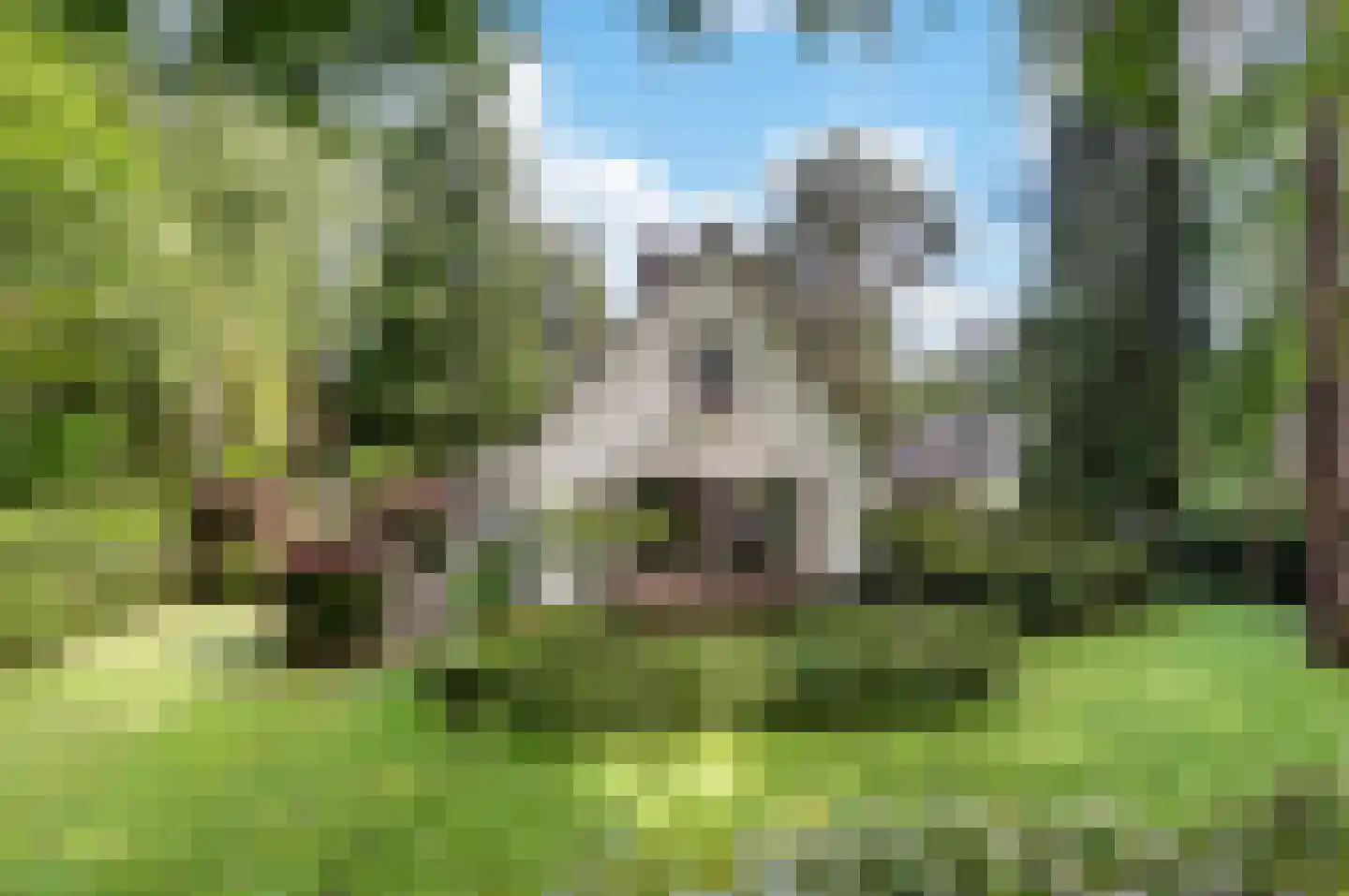 Berkenlaan 5 Apeldoorn thumbnail 53