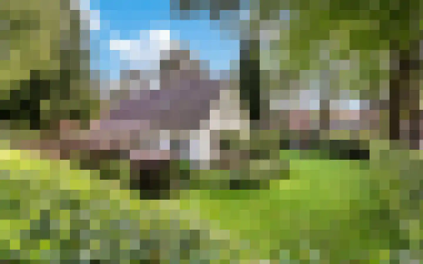 Berkenlaan 5 Apeldoorn thumbnail 54
